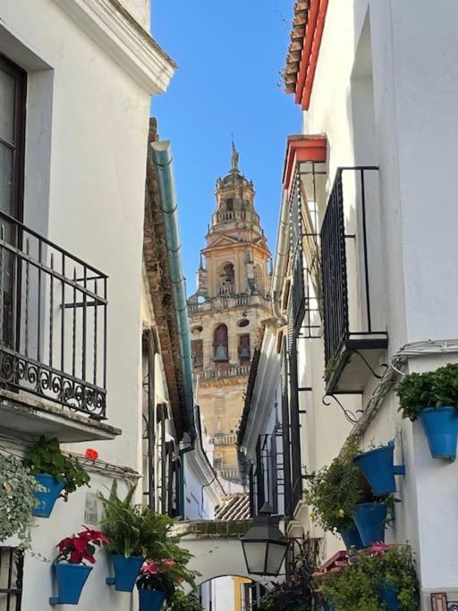 Apartamento El Rincon De La Verdad Кордова Экстерьер фото